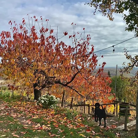 Vulkan Nyulontul Daire