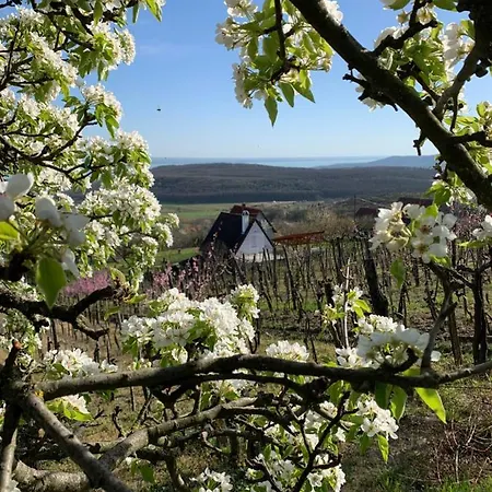 Vulkán Nyúlontúl Apartman Mencshely