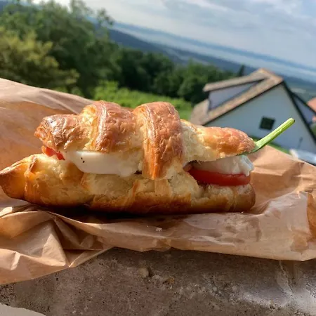 Vulkán Nyúlontúl Apartman Mencshely