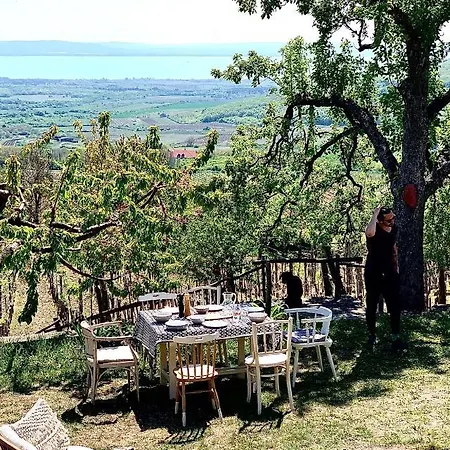 Vulkan Nyulontul * Mencshely