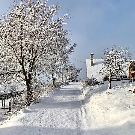 Vulkan Nyulontul * Mencshely