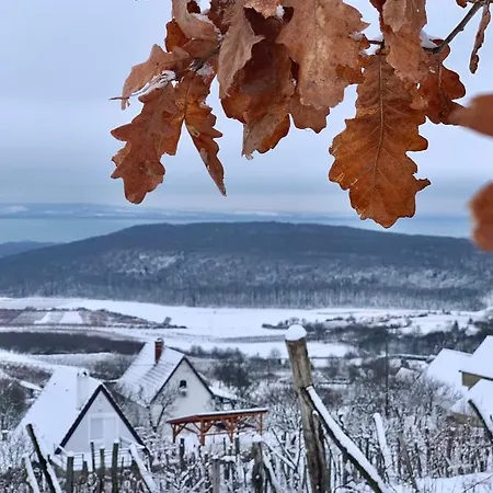 Apartman Vulkán Nyúlontúl Mencshely