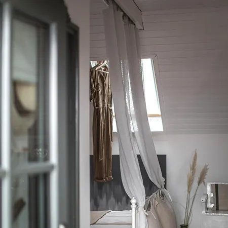 Daire Vulkan Nyulontul *