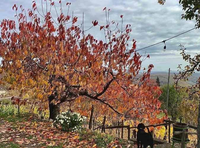 Vulkan Nyulontul דירה