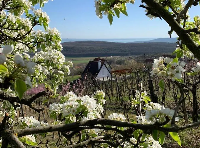 Vulkan Nyulontul Lägenhet Mencshely