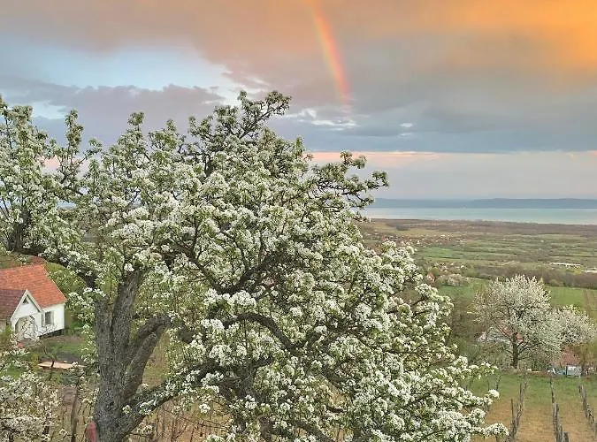 Vulkan Nyulontul דירה Mencshely