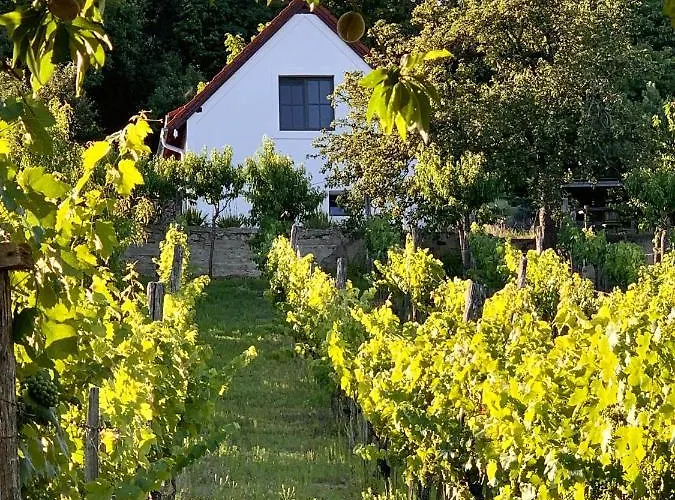 Vulkan Nyulontul * Mencshely