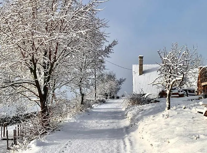 Vulkan Nyulontul * Mencshely